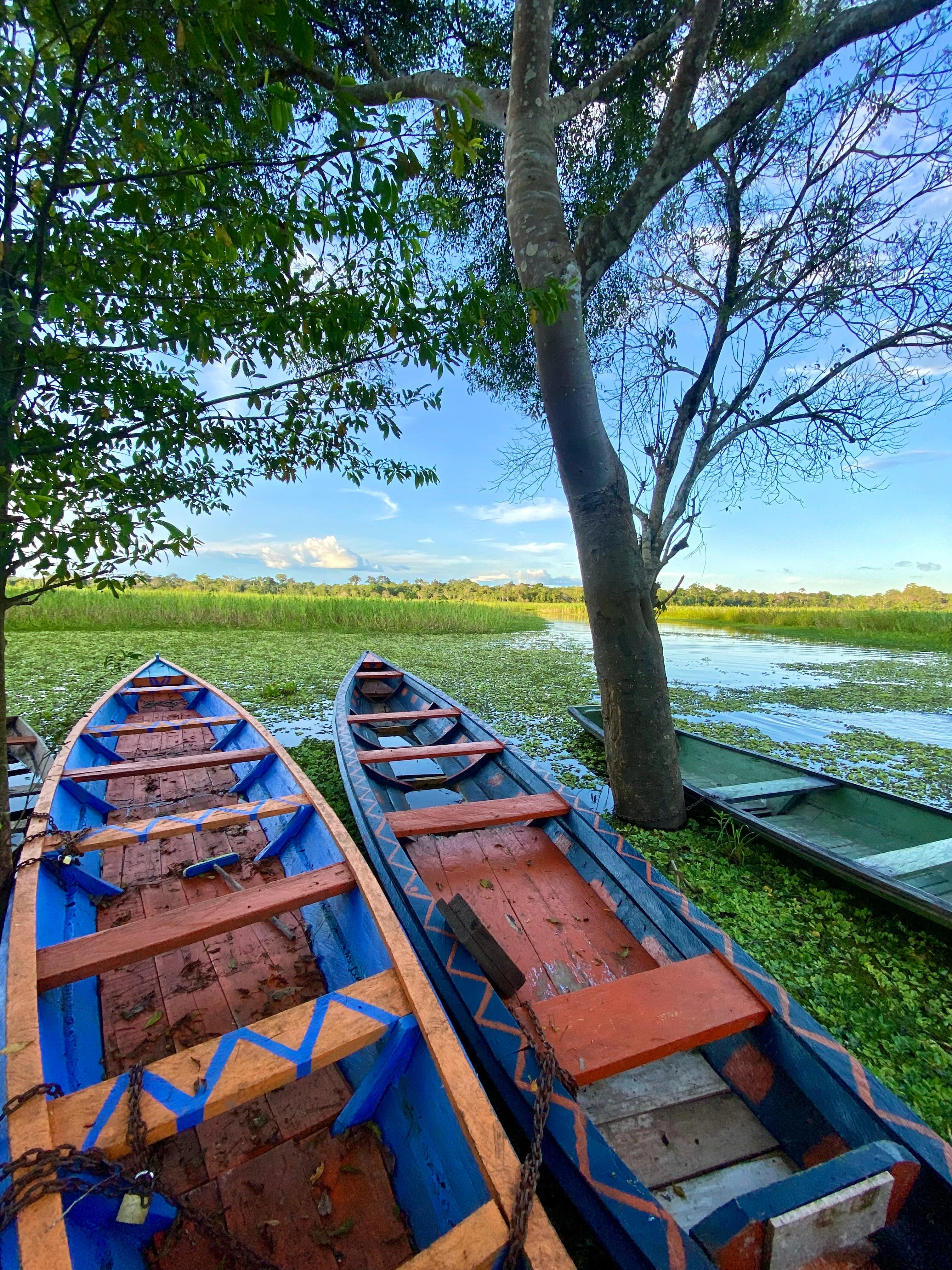 PASADIA RESERVA NATURAL FLOR DE LOTO